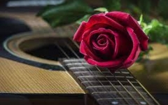Serenate